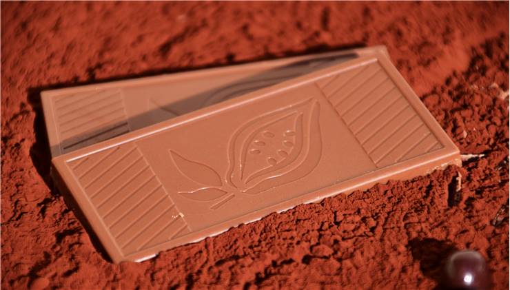 Chocolate Cacao